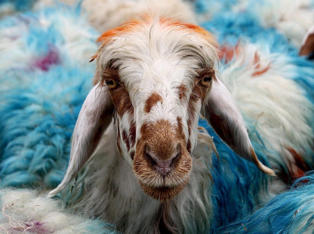 Minhaj Welfare Foundation PK